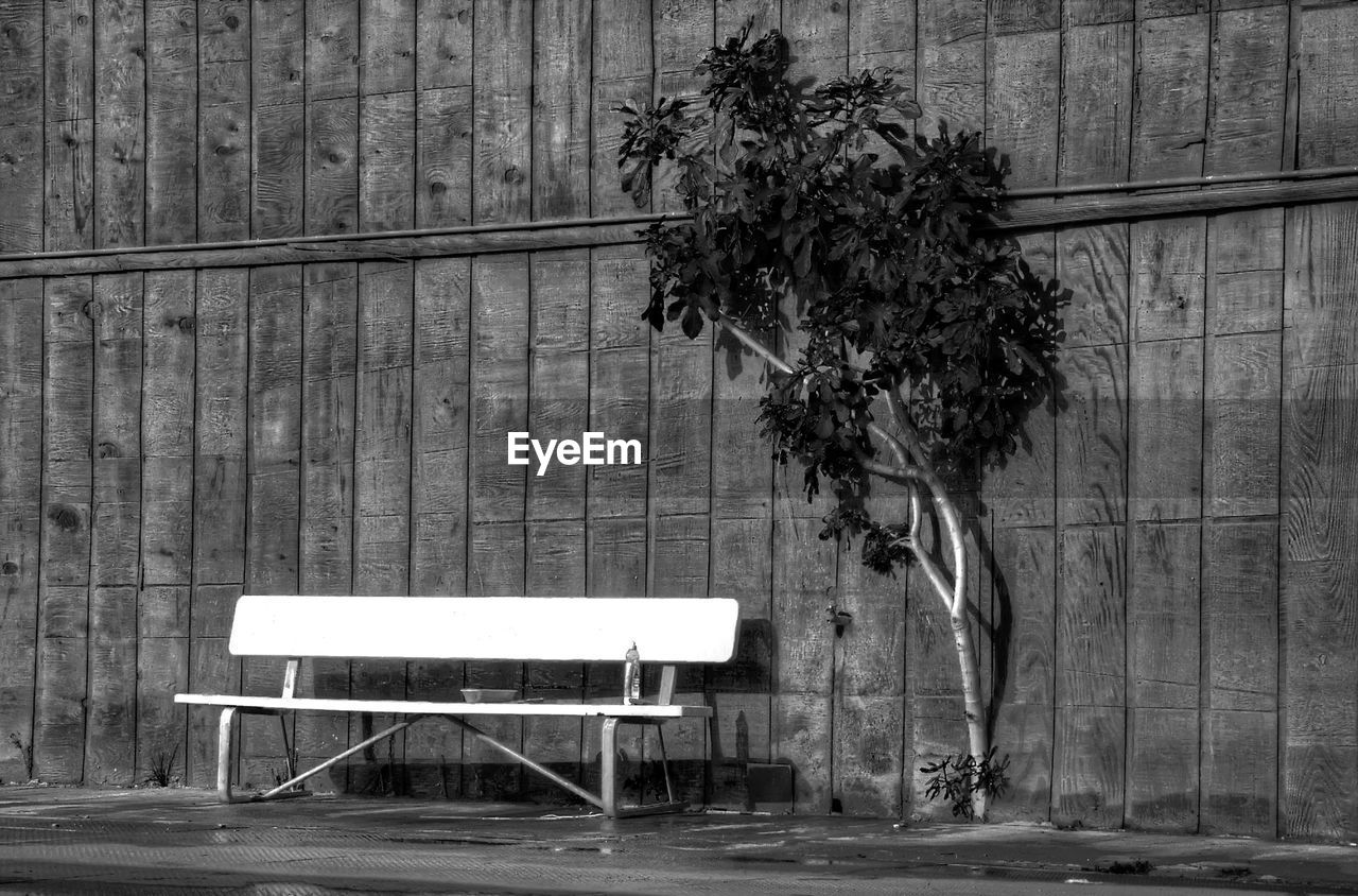 Park bench by tree against wooden railing