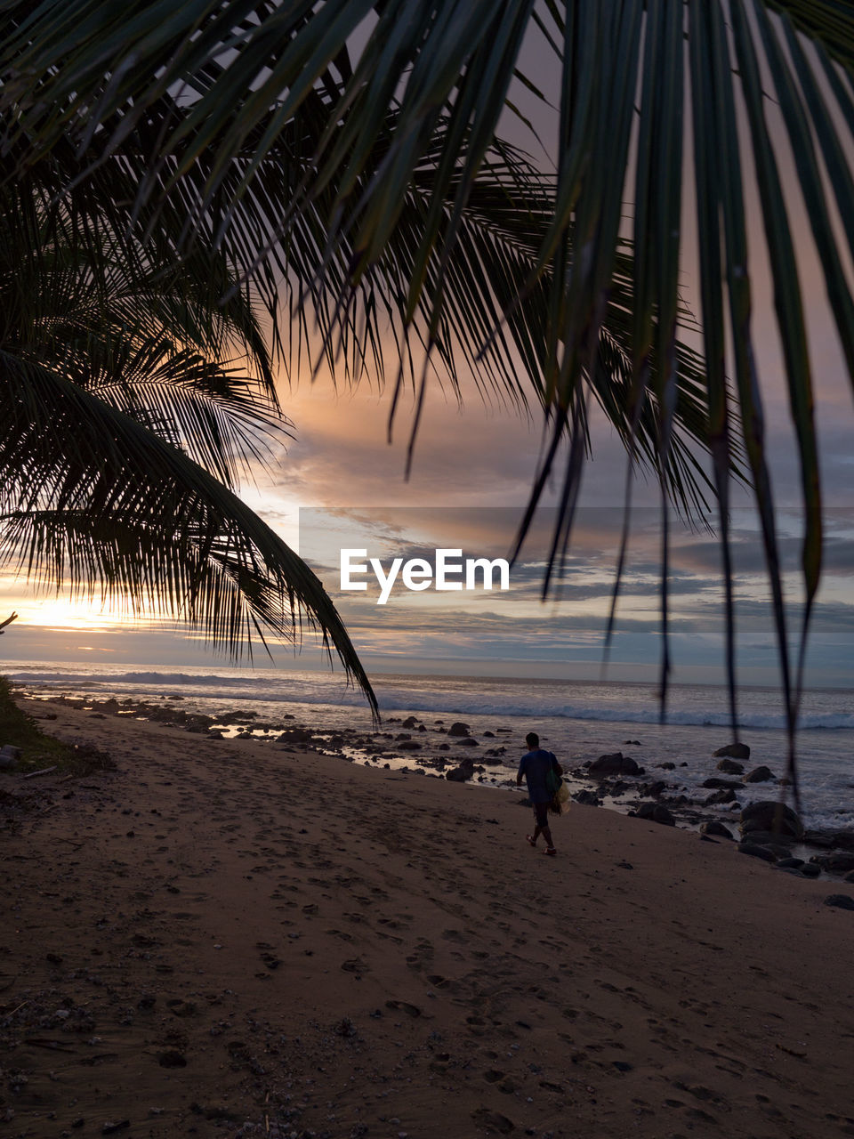 Rear view of man walking at beach against sky during sunset