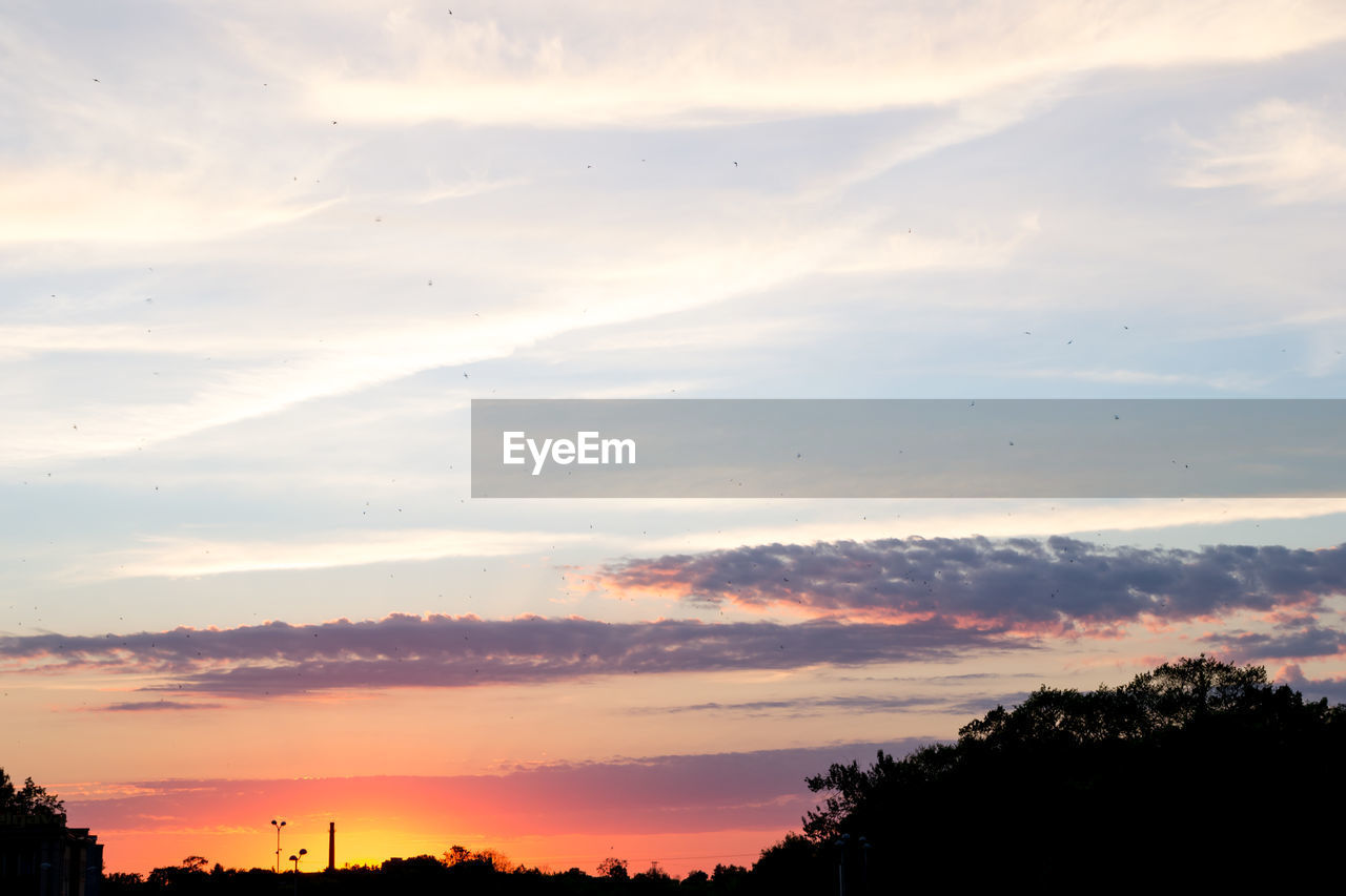 Low angle view of silhouette trees against sky at sunset