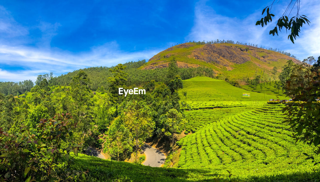 SCENIC VIEW OF FARM AGAINST SKY