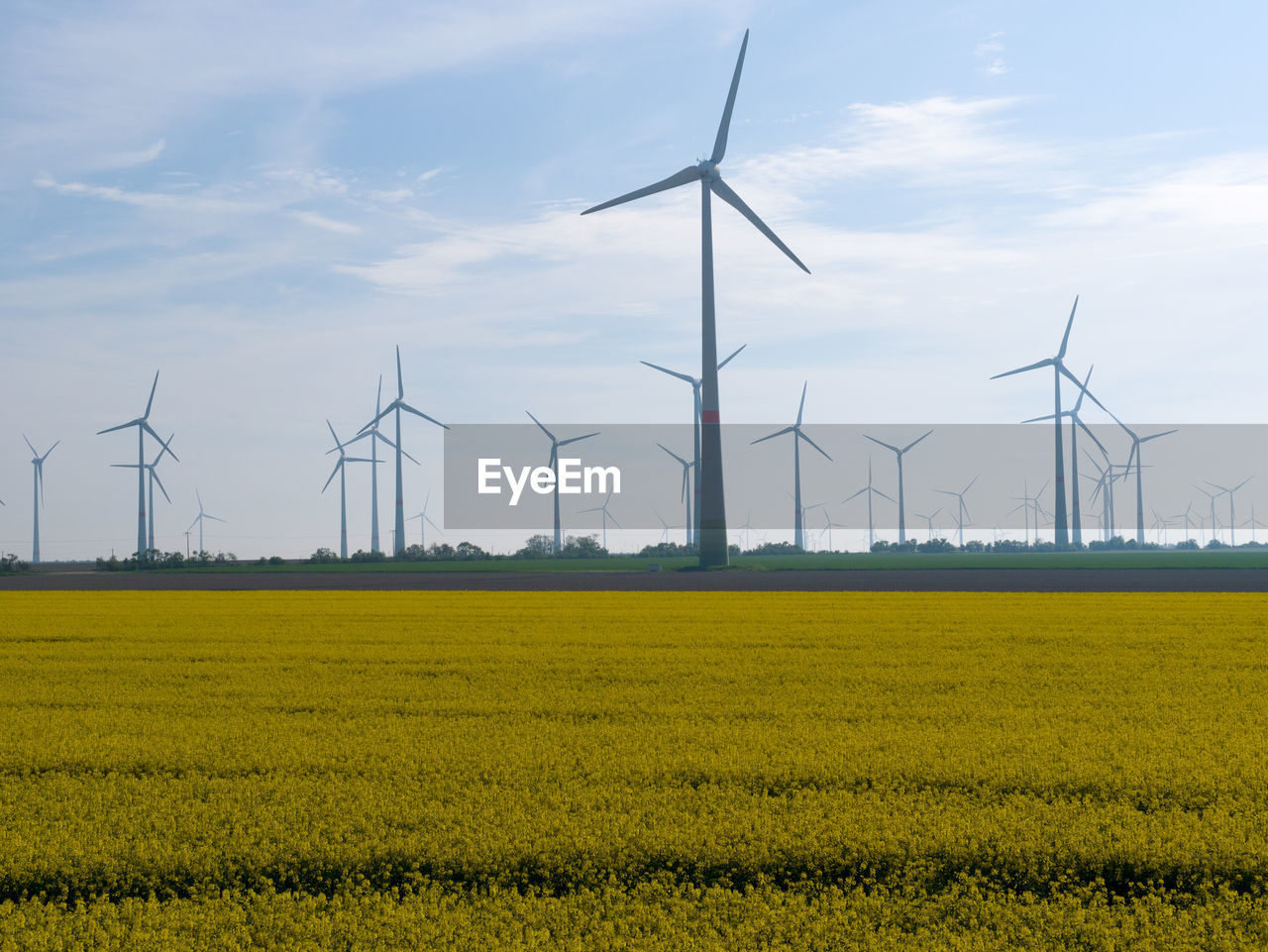 WIND TURBINES IN FIELD AGAINST SKY