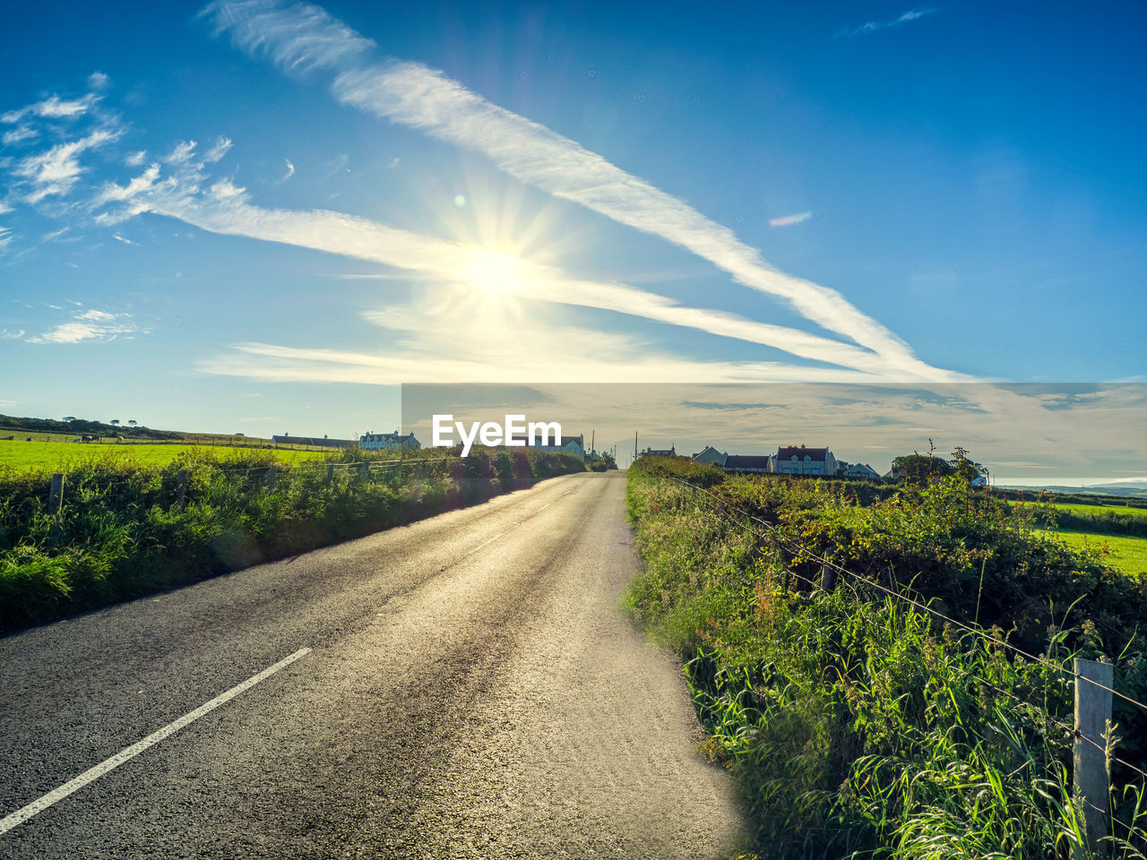 Road amidst agricultural field against sky