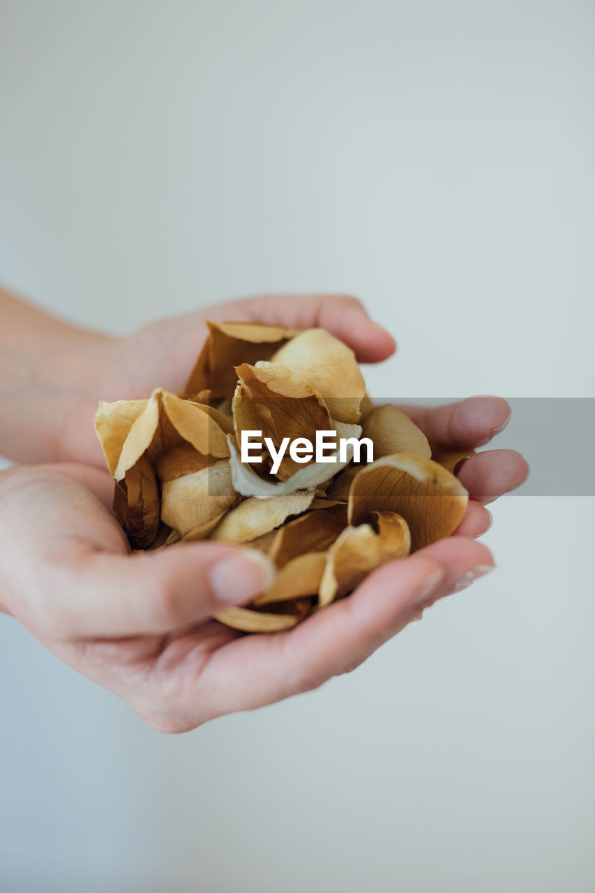 CLOSE-UP OF HAND HOLDING FOOD