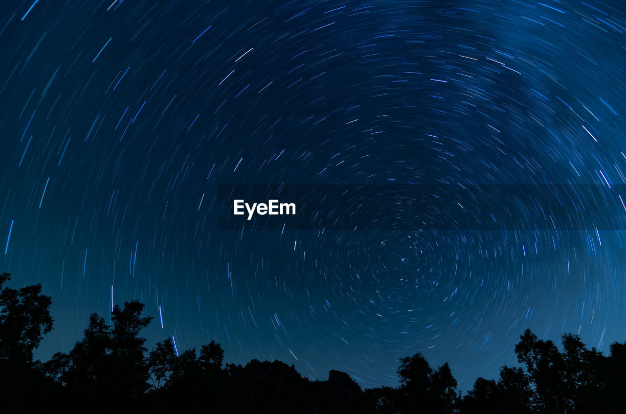 LOW ANGLE VIEW OF TREES AGAINST STAR FIELD