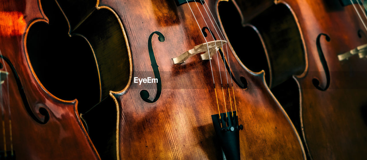 Close-up of cello