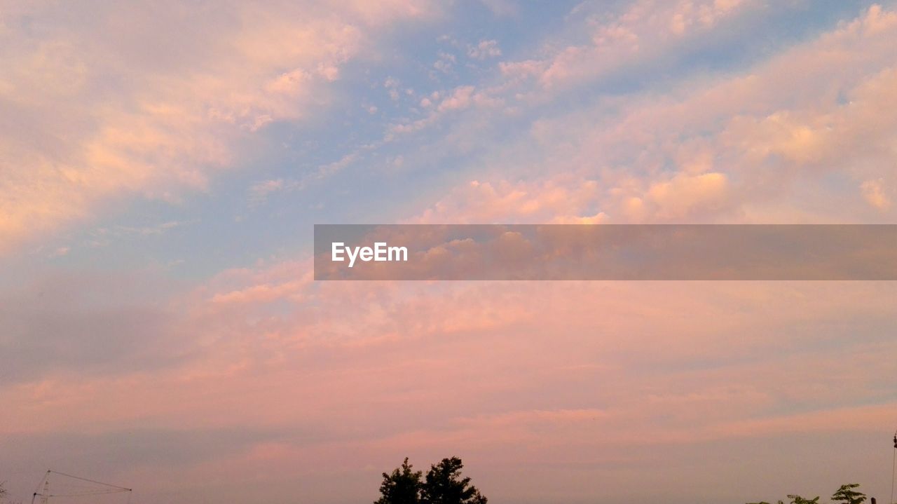 LOW ANGLE VIEW OF SILHOUETTE TREE AGAINST SKY