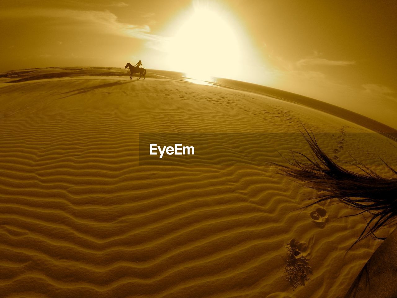 Woman riding horse at desert against sky during sunset