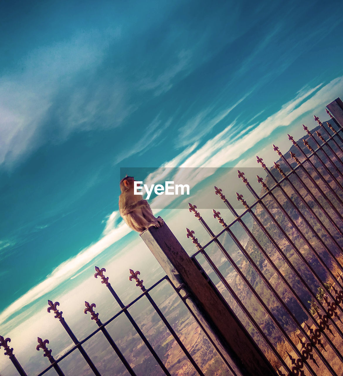 LOW ANGLE VIEW OF MAN SWIMMING POOL AGAINST SKY