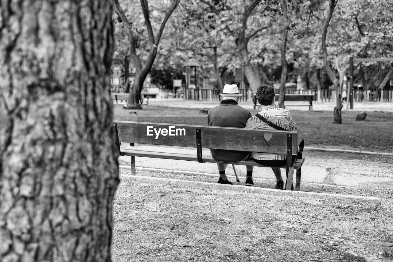 Rear view of a couple sitting on a park bench