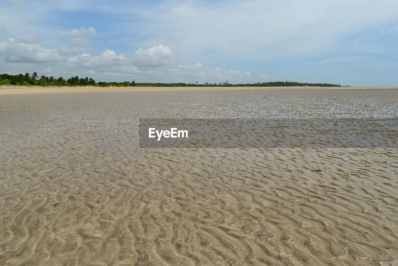 SCENIC VIEW OF SAND DUNE ON BEACH