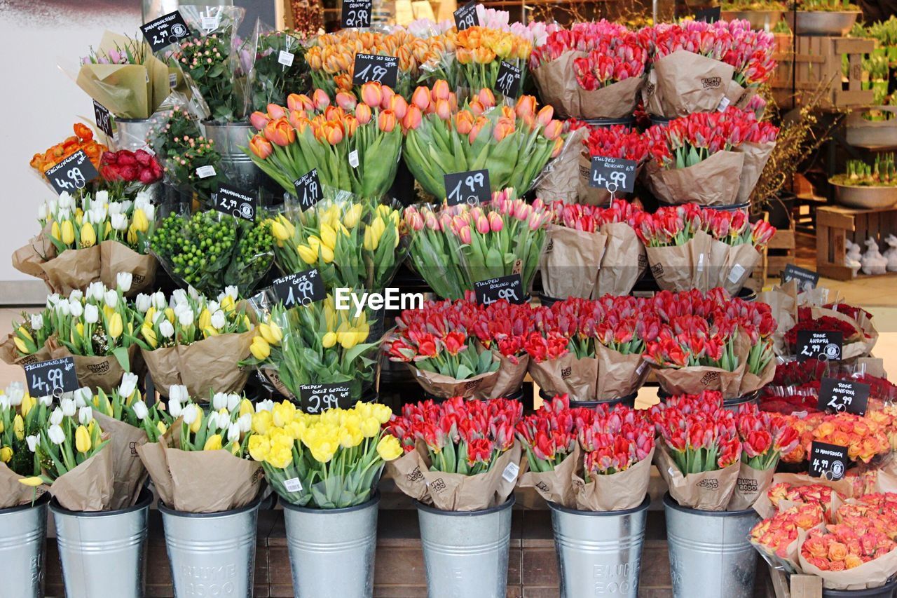 Close-up of flowers for sale in market