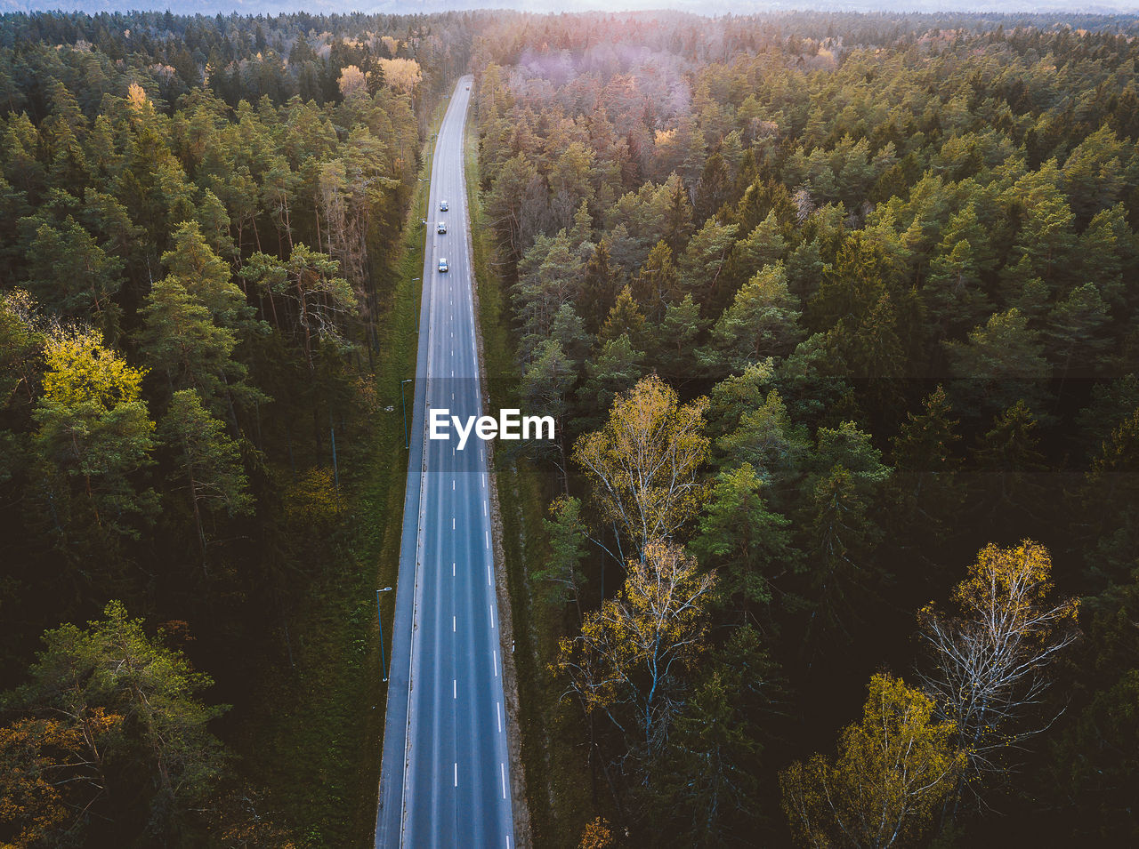 High angle view of road amidst trees in forest