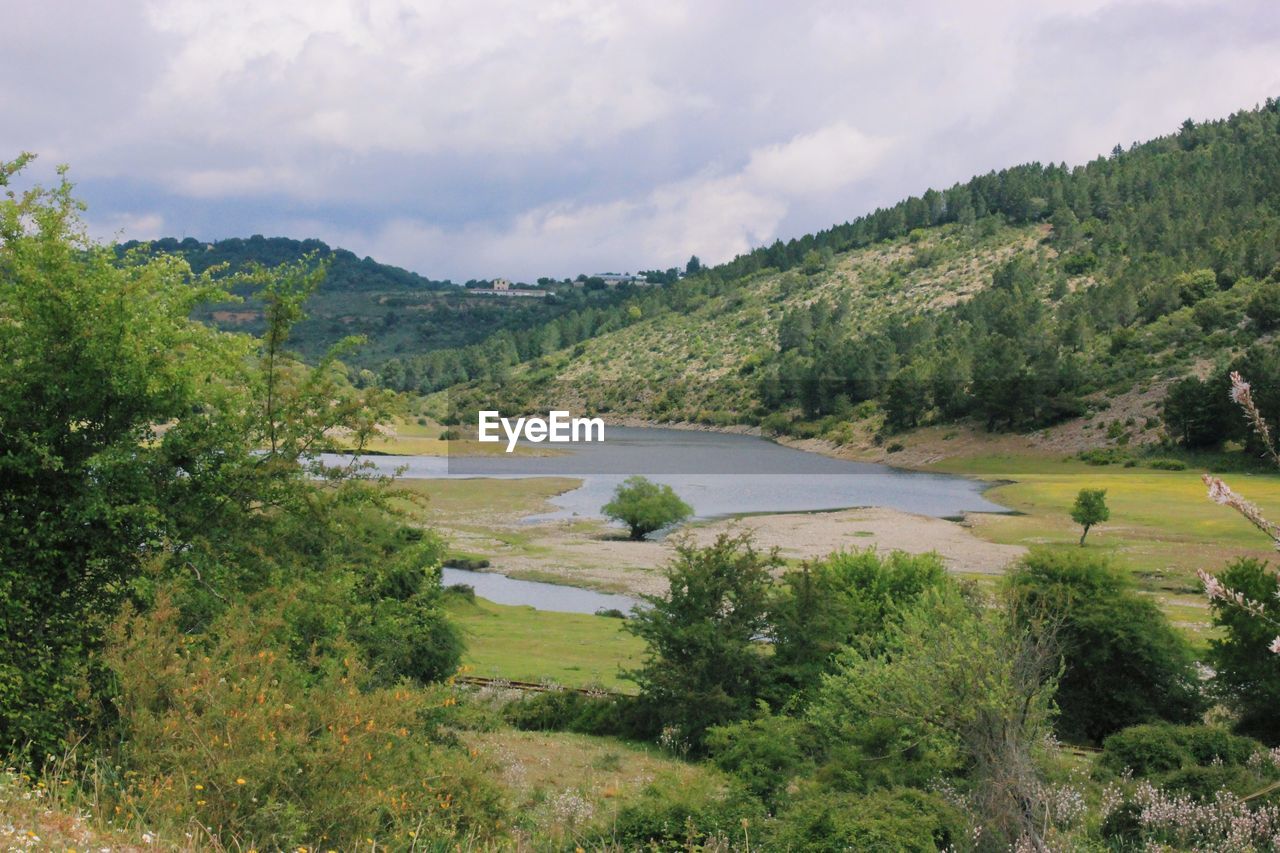 SCENIC VIEW OF TREES AND LANDSCAPE AGAINST SKY