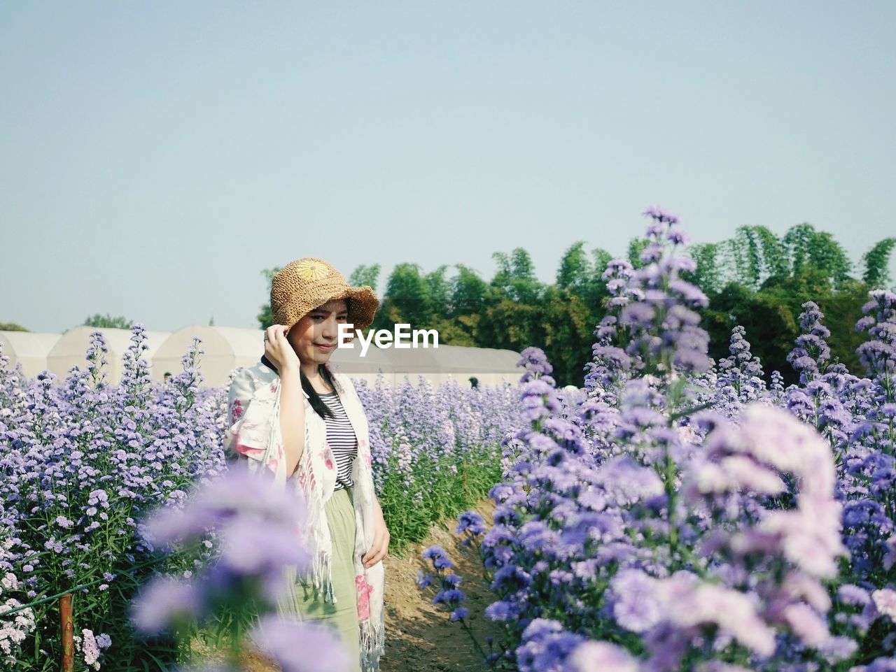 Young woman standing on lavender amidst flowering plants against clear sky