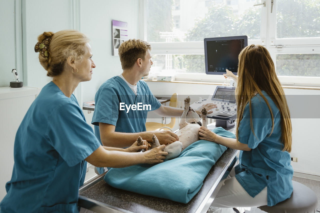 Female veterinarian discussing over ultrasound with coworkers while dog lying on table in clinic