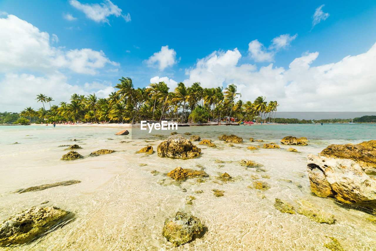 SCENIC VIEW OF BEACH