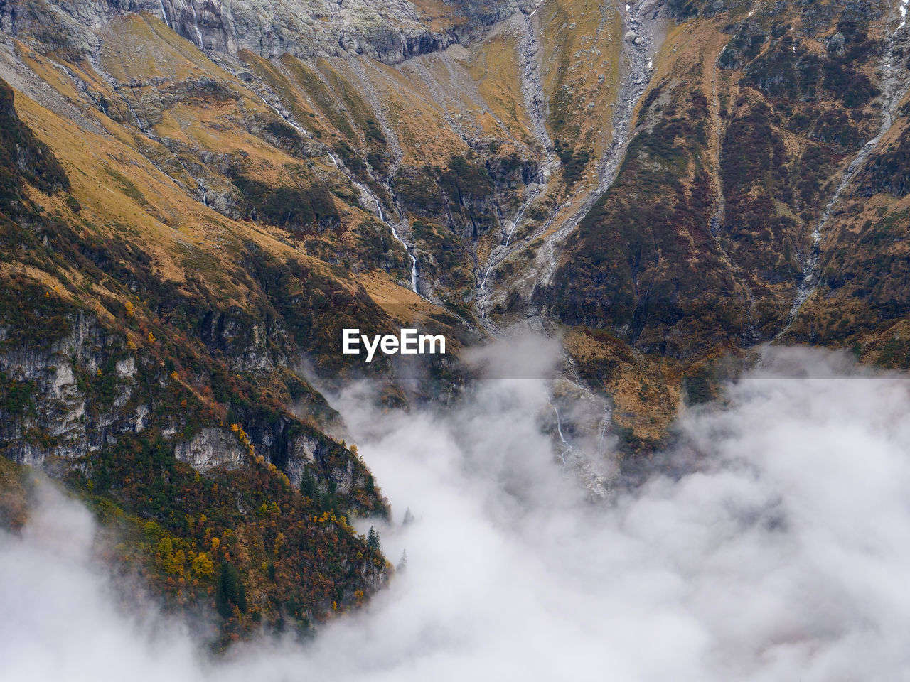 Aerial view of trees in mountains