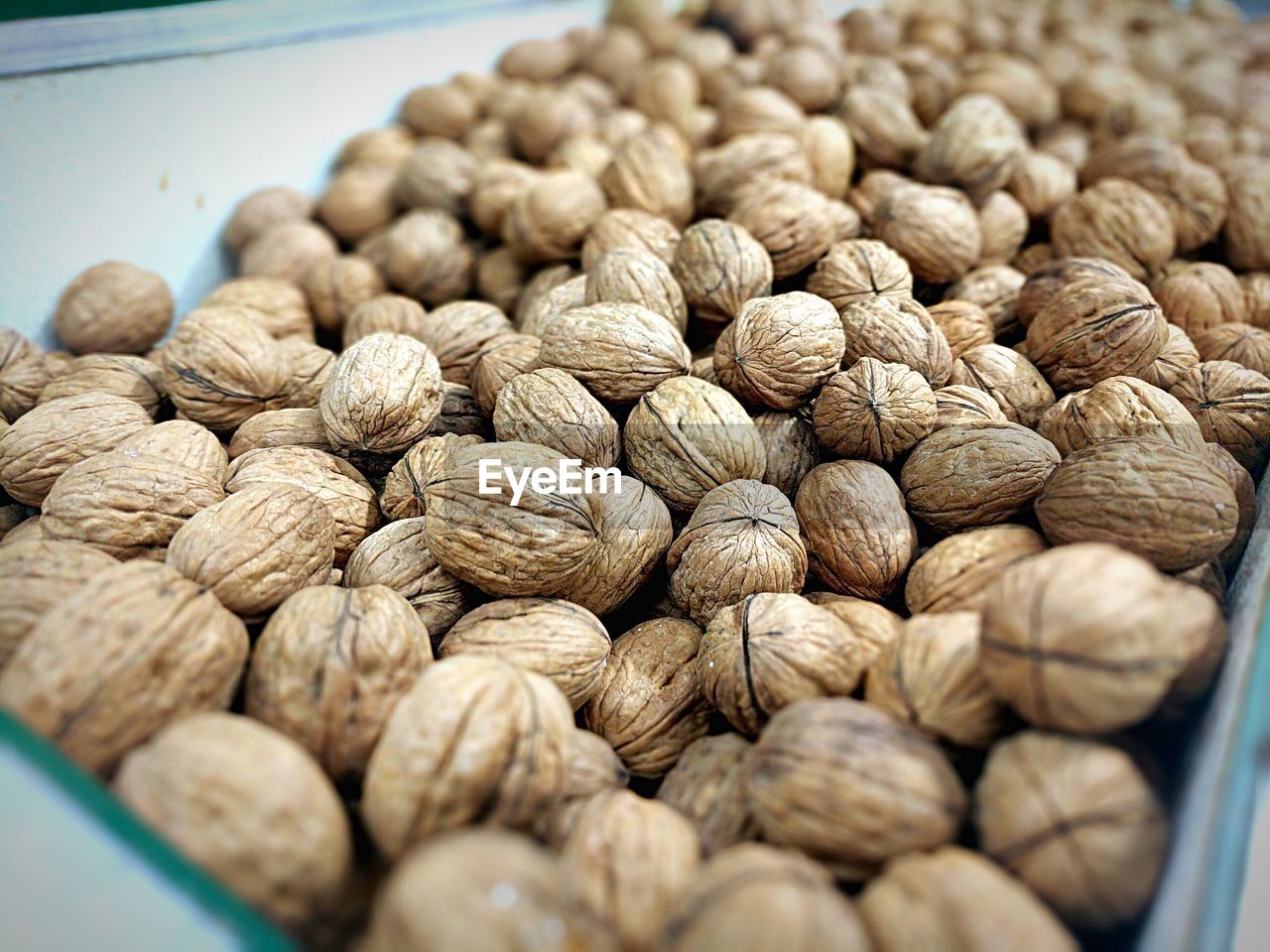 CLOSE-UP OF BLUEBERRIES