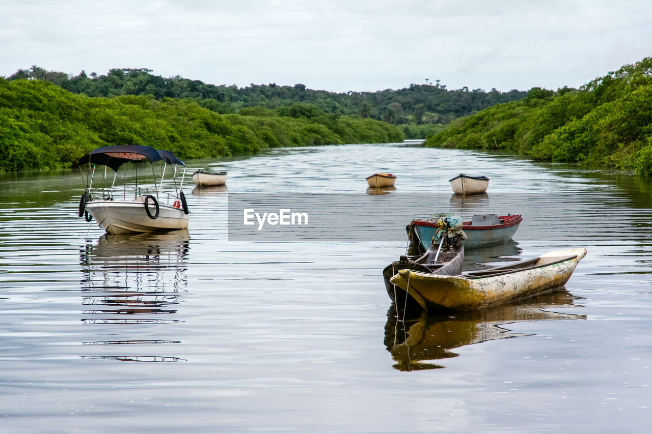 Boats standing on the river against green forest in the background. aratuipe, bahia, brazil.