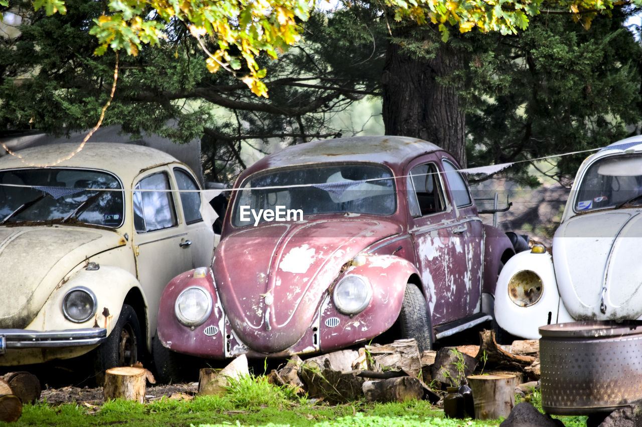 OLD ABANDONED CAR