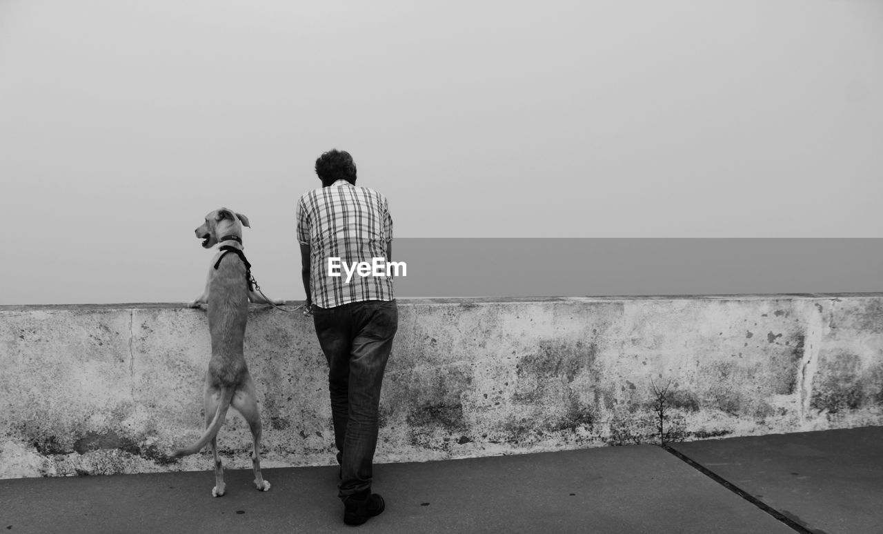 REAR VIEW OF DOG STANDING ON FIELD AGAINST CLEAR SKY