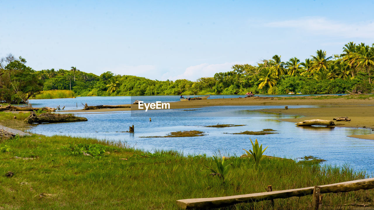SCENIC VIEW OF LAKE AGAINST TREES