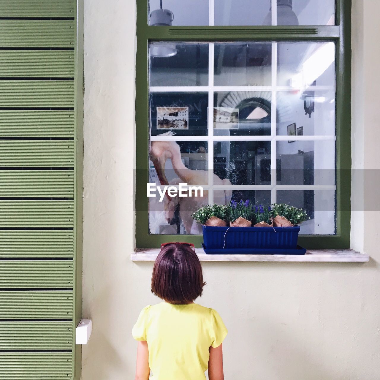 Rear view of girl looking at bird in house