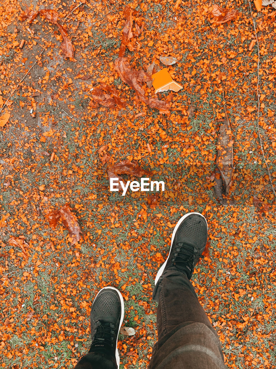 LOW SECTION OF PERSON STANDING ON LEAVES