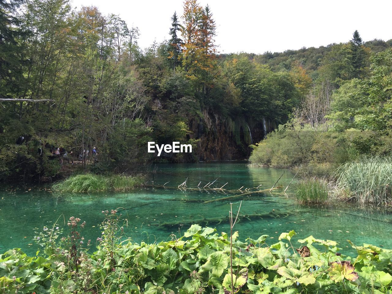 SCENIC VIEW OF LAKE