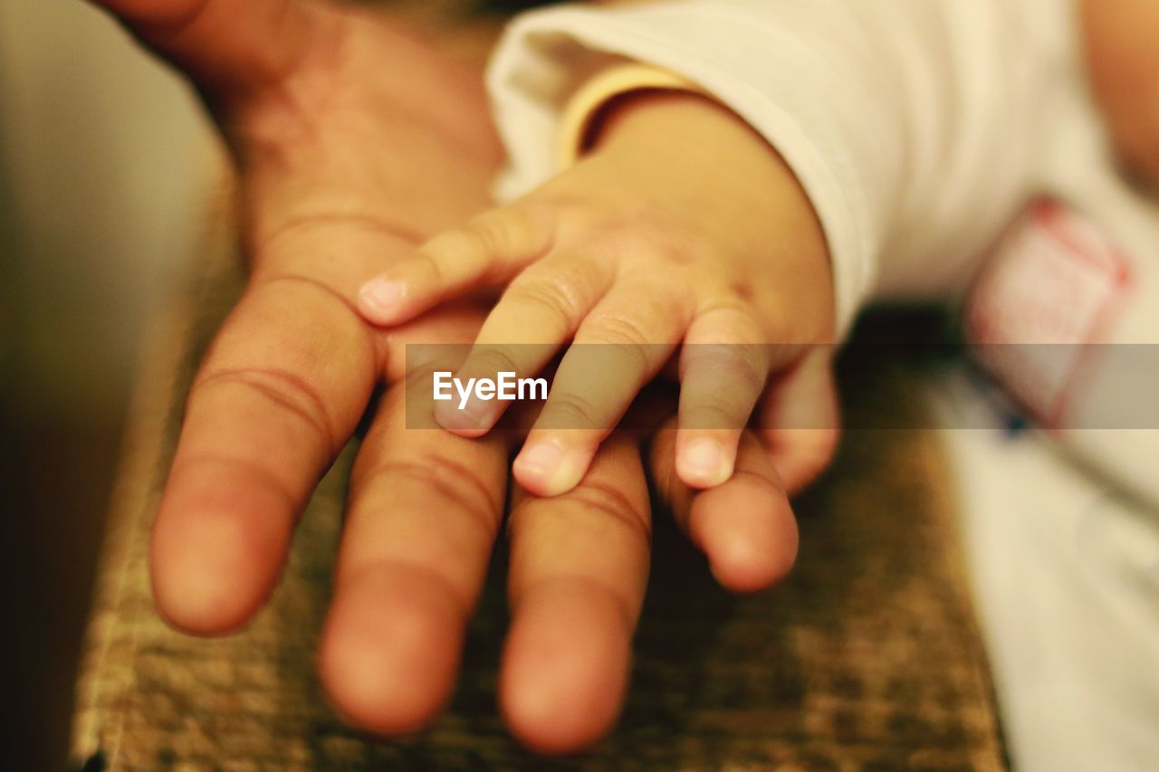 Cropped hands of parent and baby on wood