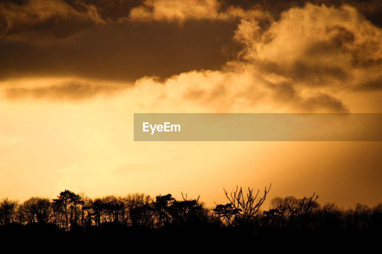 SILHOUETTE TREES ON LANDSCAPE AGAINST SKY DURING SUNSET