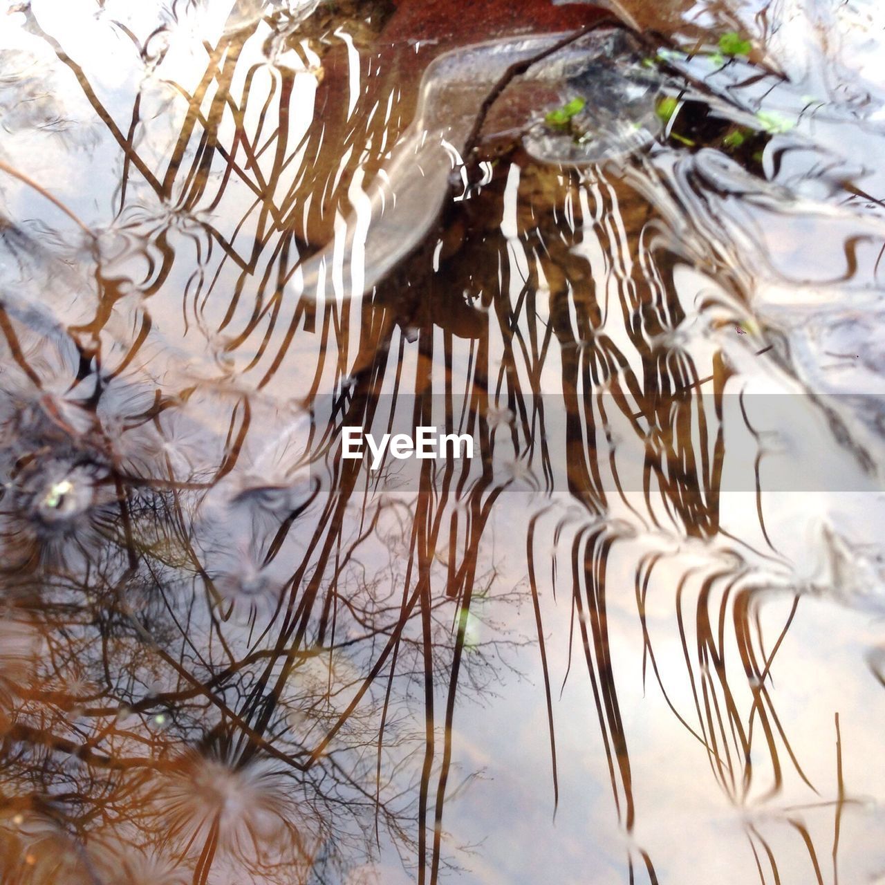 High angle view of reflections in water