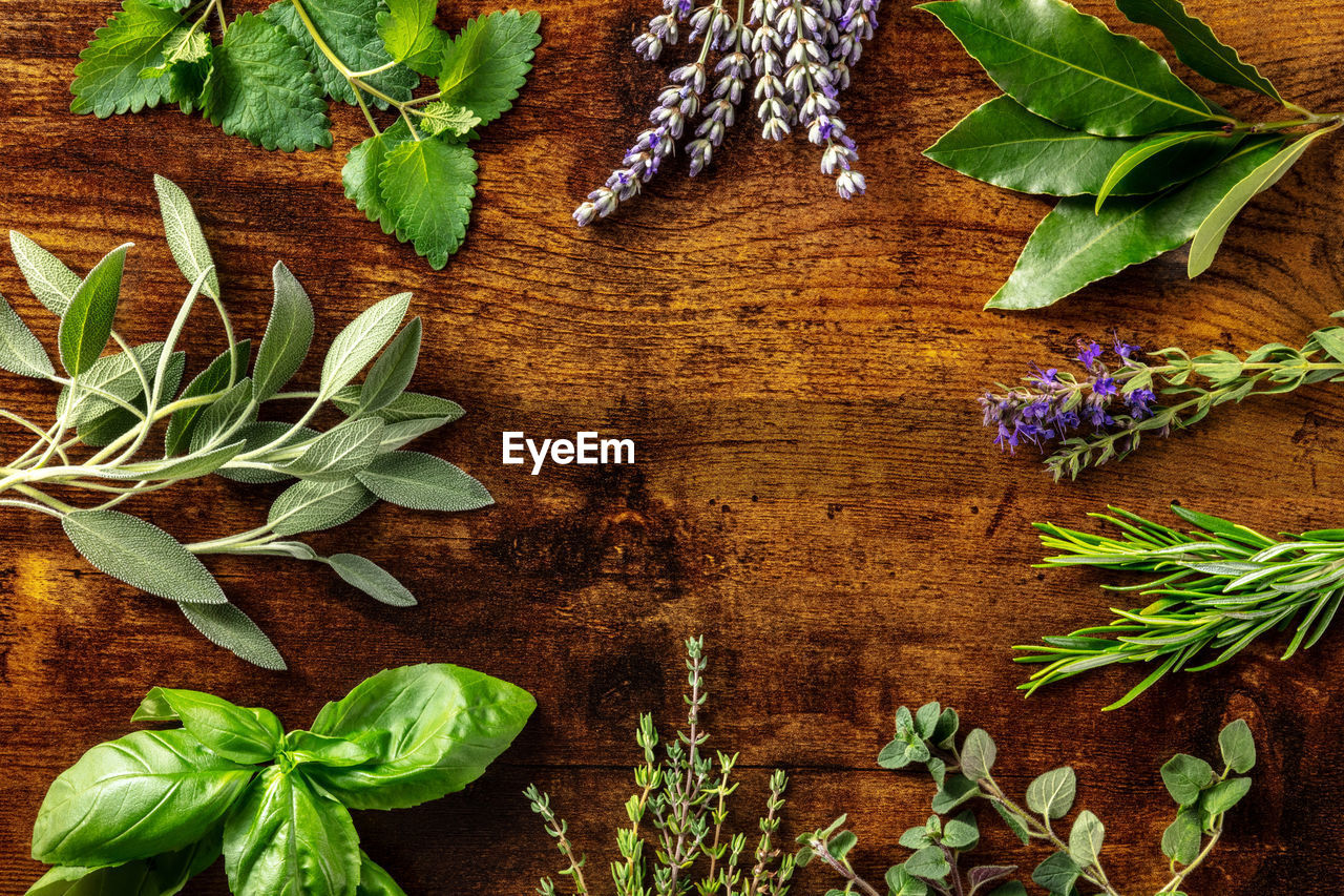 Fresh garden herbs banner with copy space. an overhead flat lay shot of bunches of herbs 