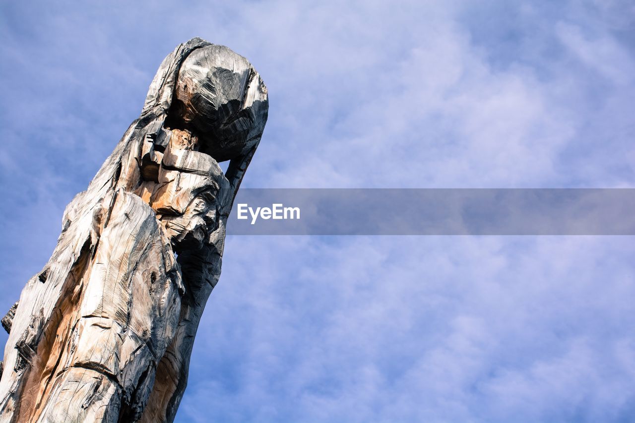 LOW ANGLE VIEW OF TREE TRUNK AGAINST ROCK