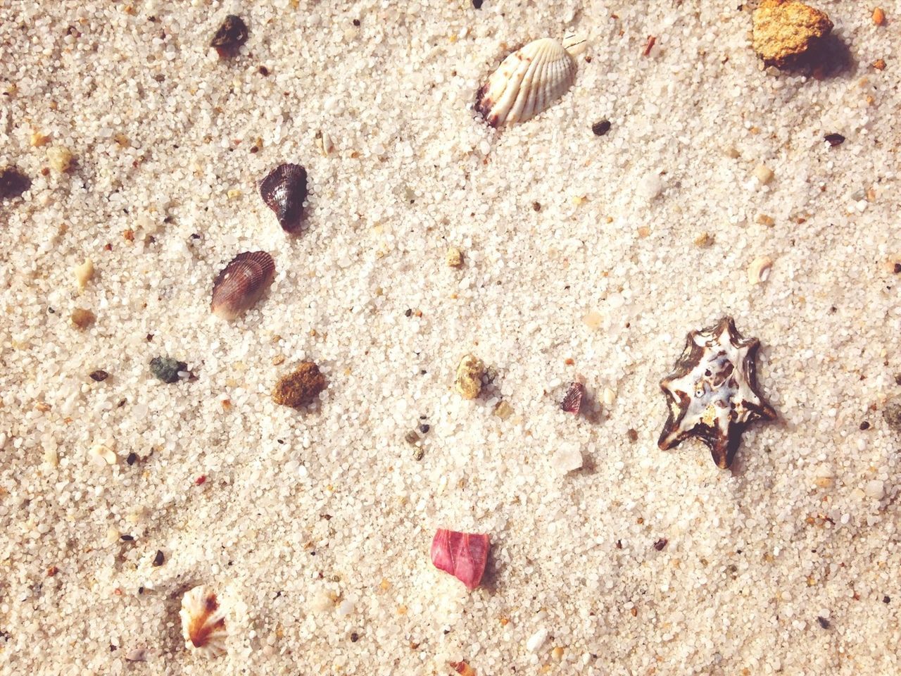 beach, no people, sand, day, close-up, outdoors, nature