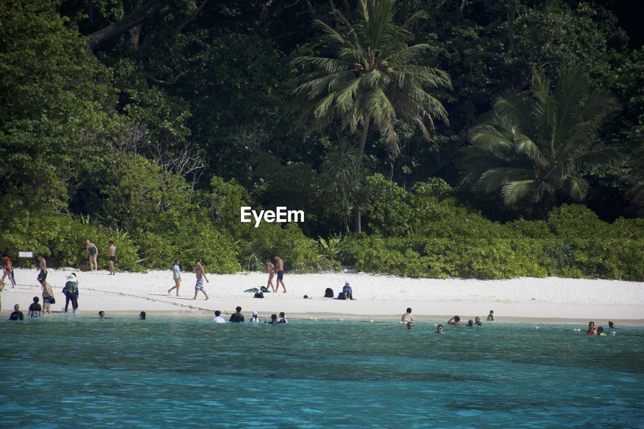 PEOPLE AT SWIMMING POOL AGAINST TREES