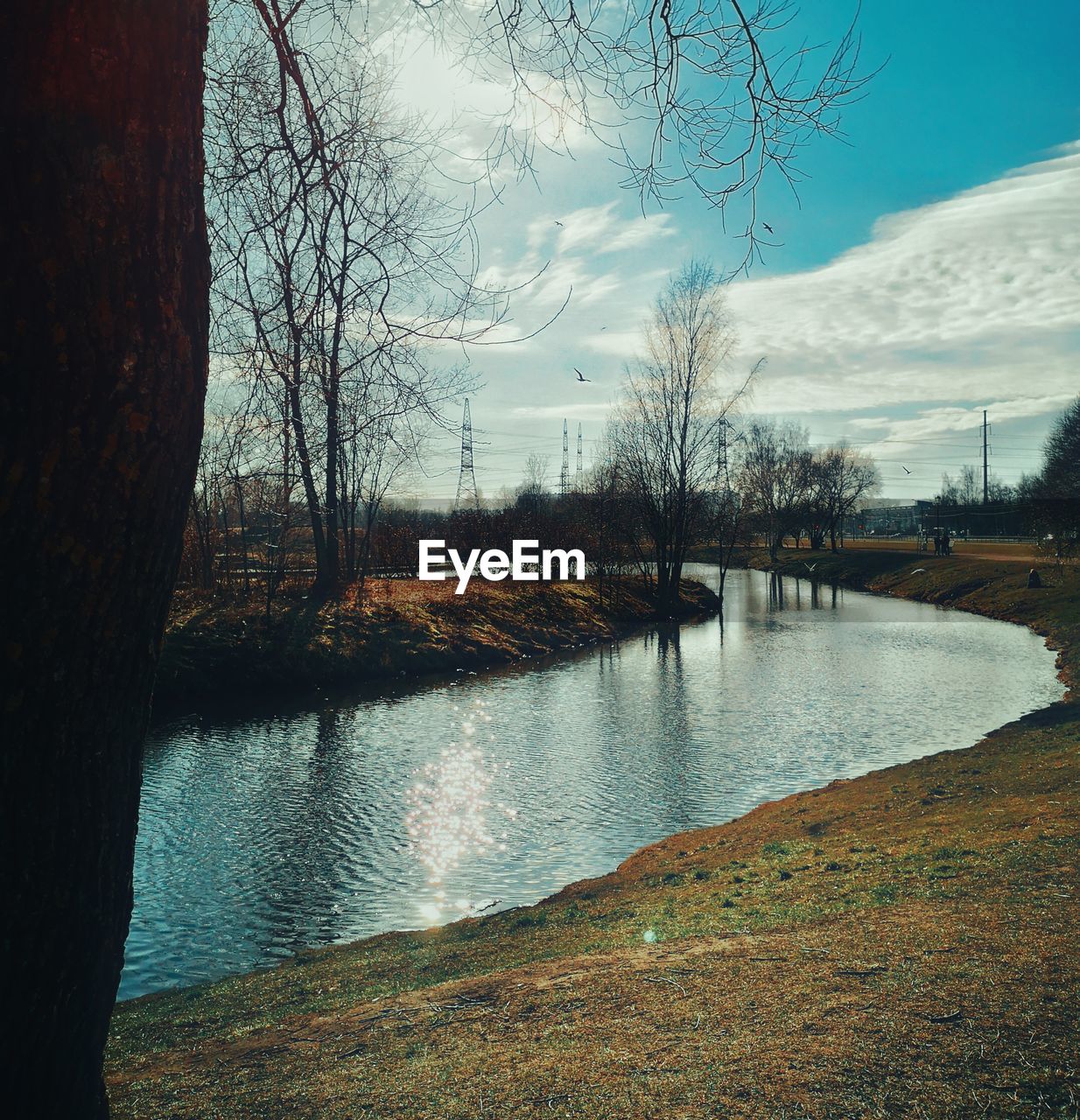 SCENIC VIEW OF LAKE AGAINST BARE TREES