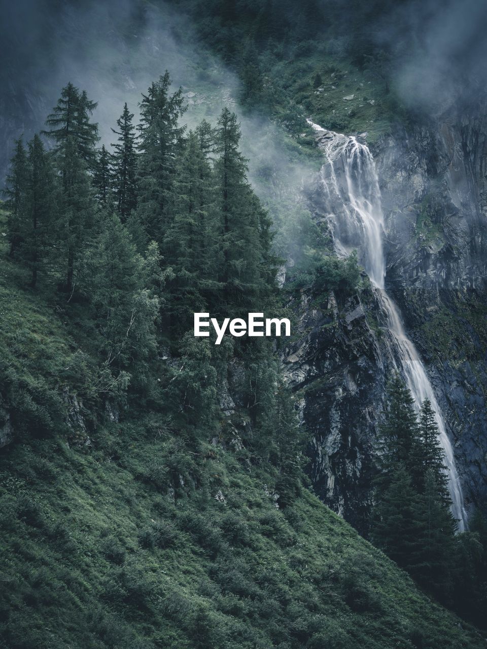 Scenic view of waterfall in forest