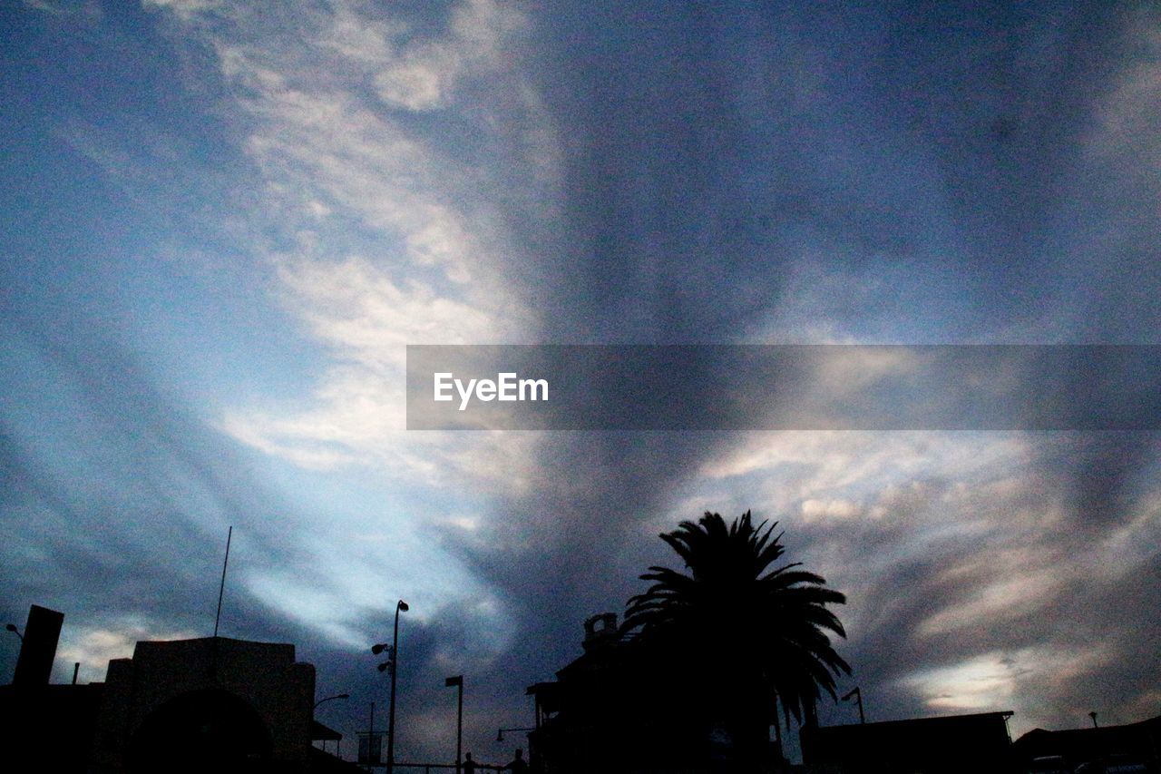 LOW ANGLE VIEW OF SILHOUETTE PALM TREES AGAINST CLOUDY SKY