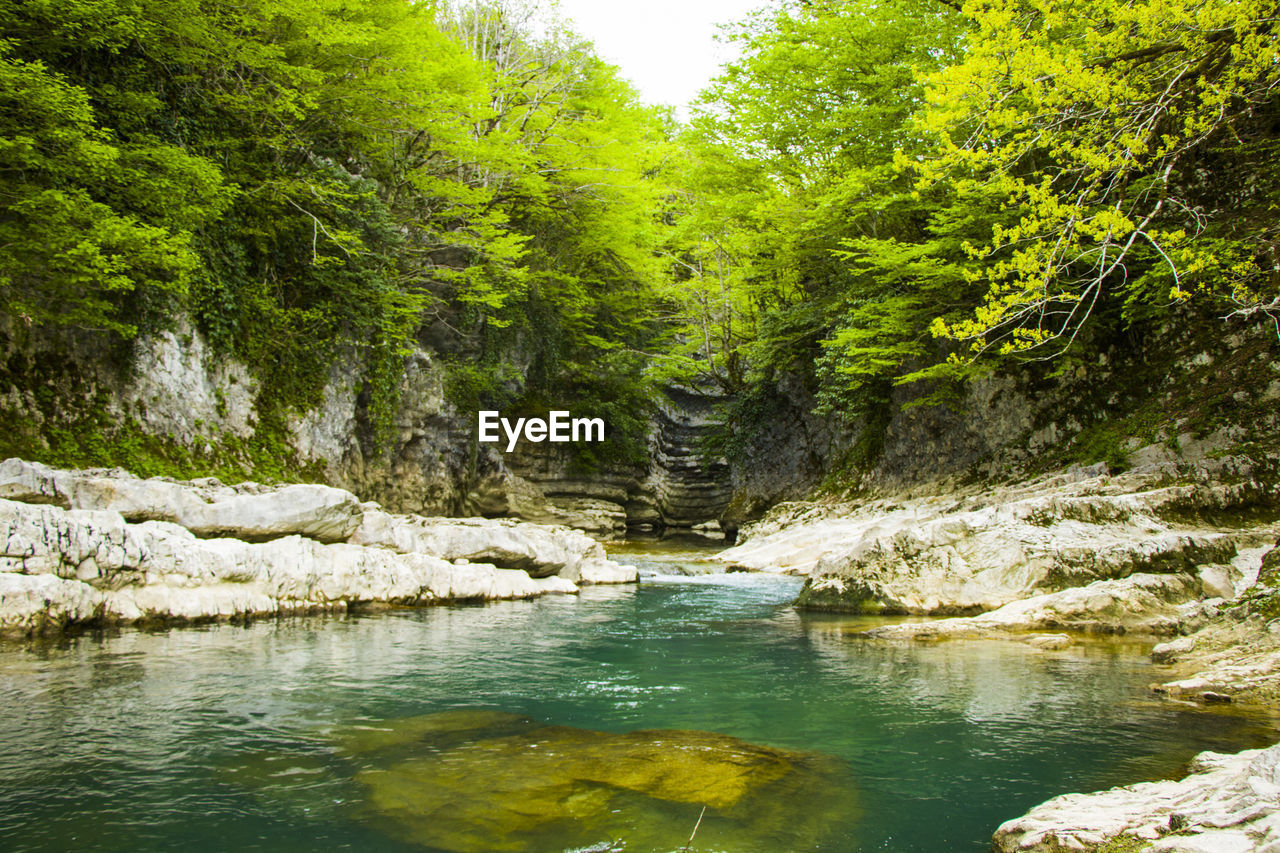 Landscape and view of the green river. river in martvili, samegrelo. landscape of the green river.