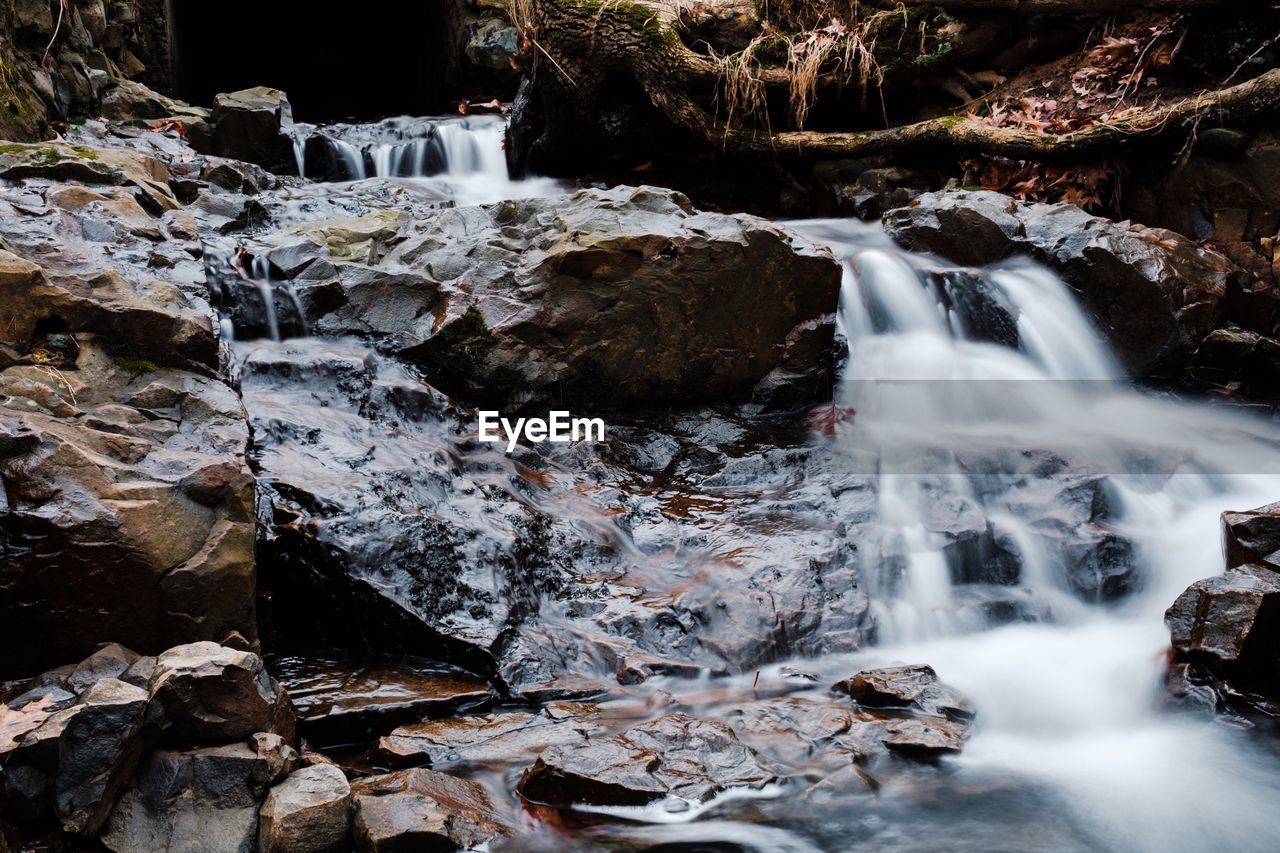 Scenic view of waterfall in forest