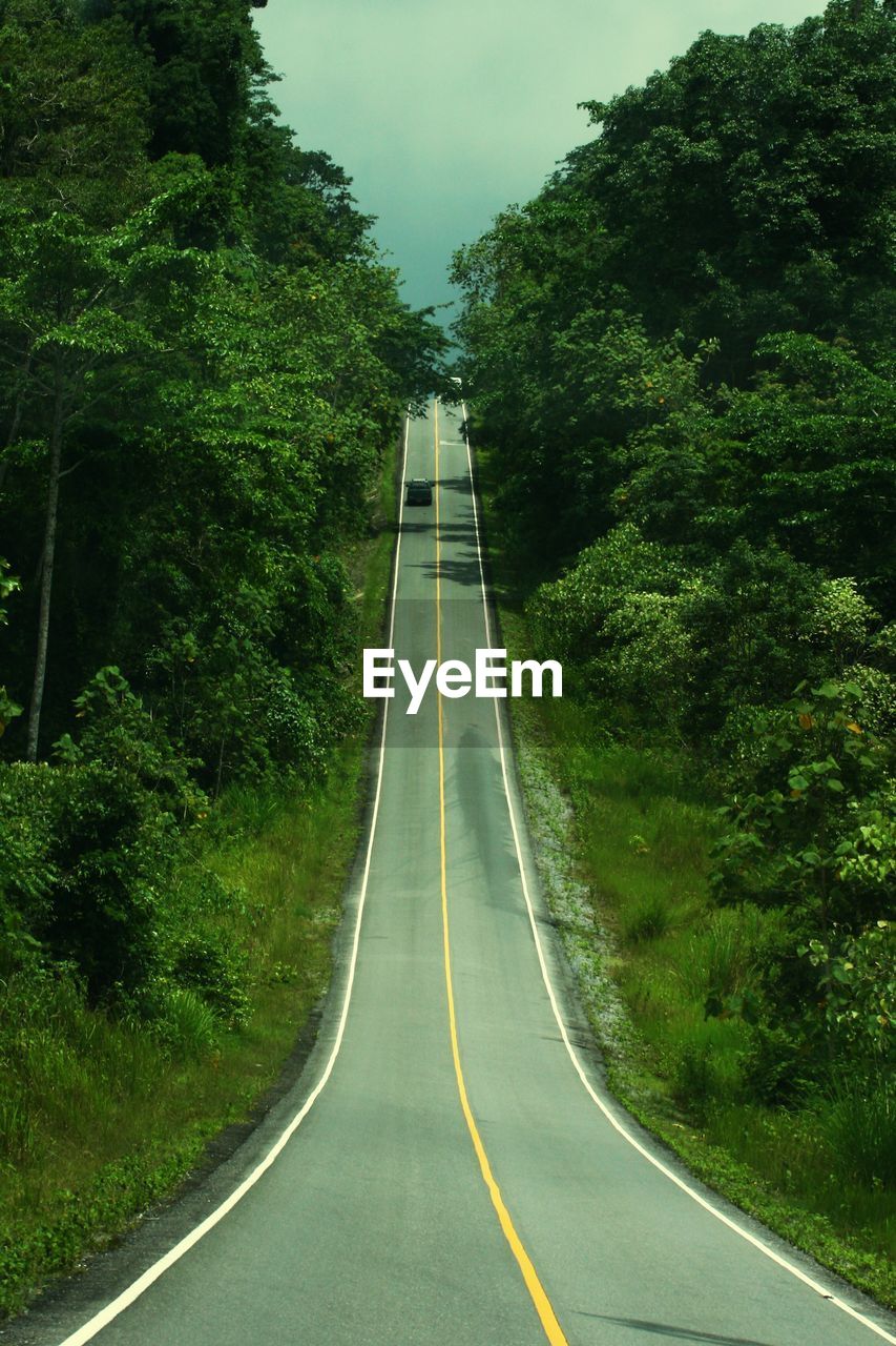 Road amidst trees against sky