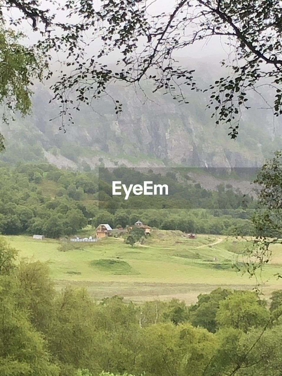 SCENIC VIEW OF FIELD AND TREES BY MOUNTAIN