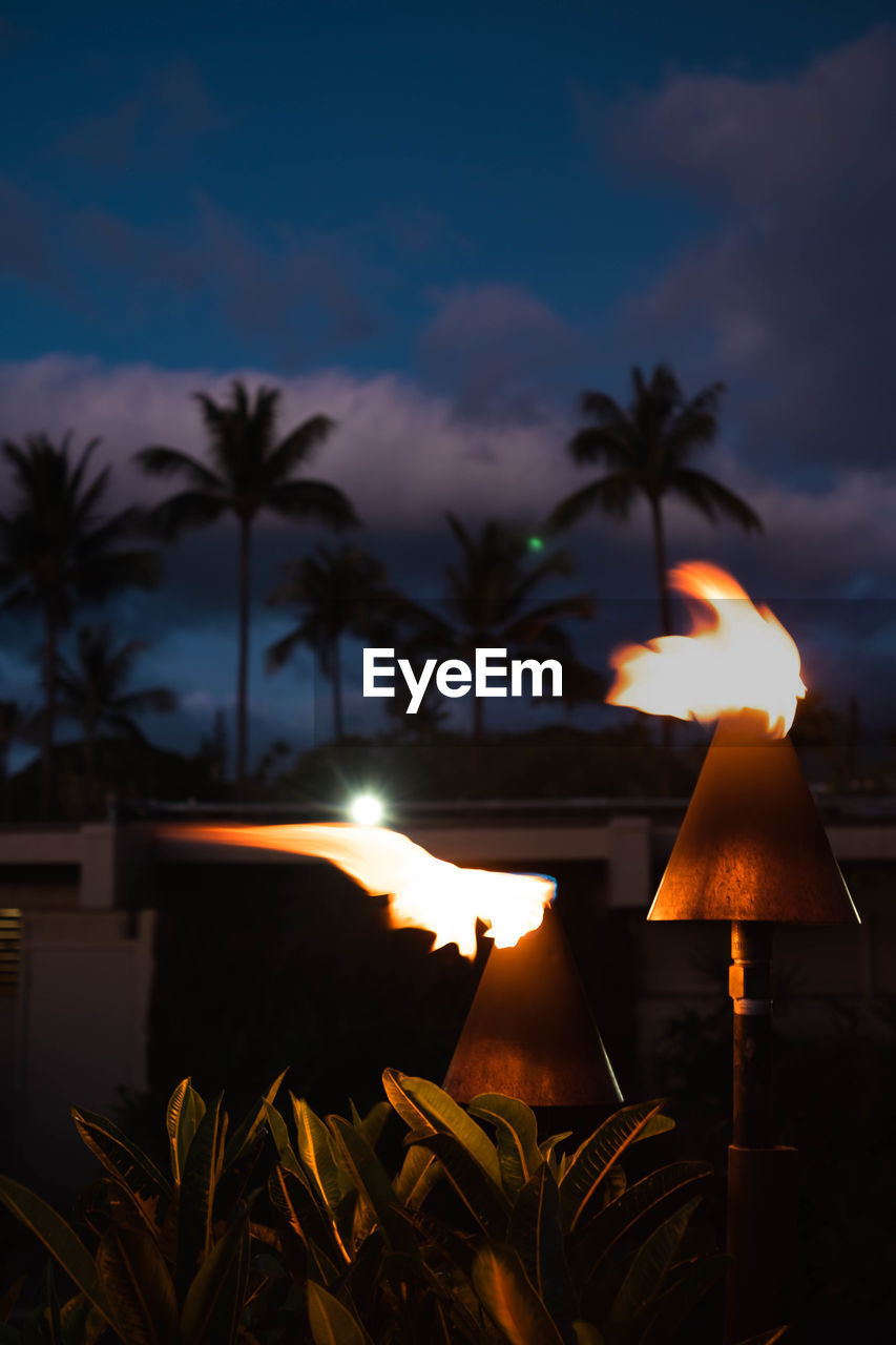 palm tree, tropical climate, sky, nature, night, tree, evening, plant, illuminated, light, no people, sunset, cloud, lighting, beauty in nature, lighting equipment, heat, darkness, land, outdoors, tranquility, dusk, holiday, reflection, water, burning, travel destinations, flame, fire, tranquil scene, beach