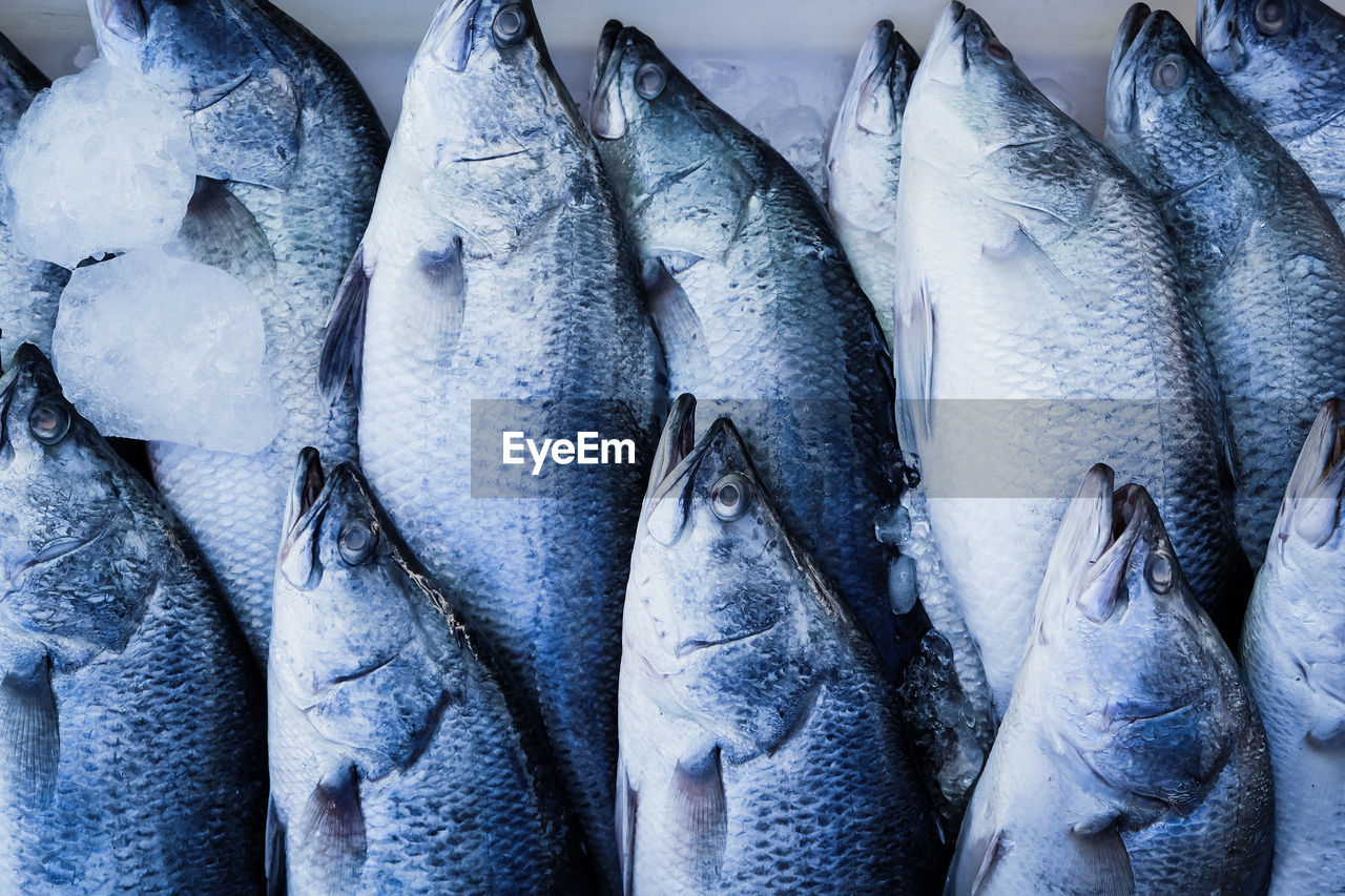 FISH FOR SALE IN MARKET