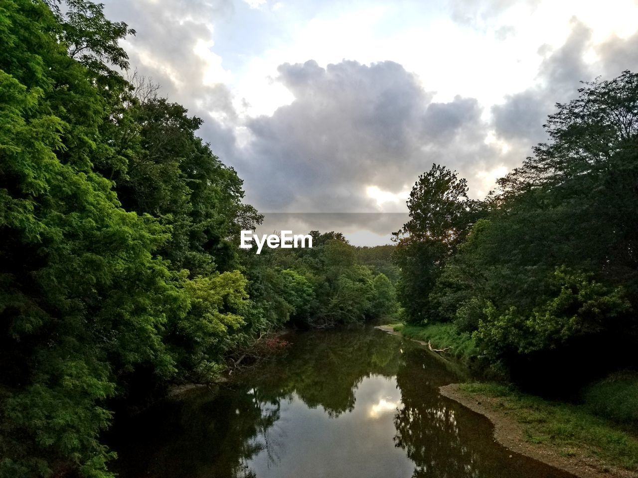 REFLECTION OF TREES IN WATER AGAINST SKY IN FOREST