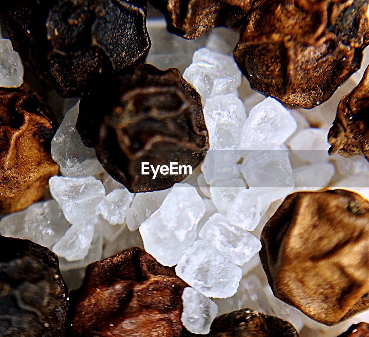 CLOSE-UP OF FOOD ON THE WALL