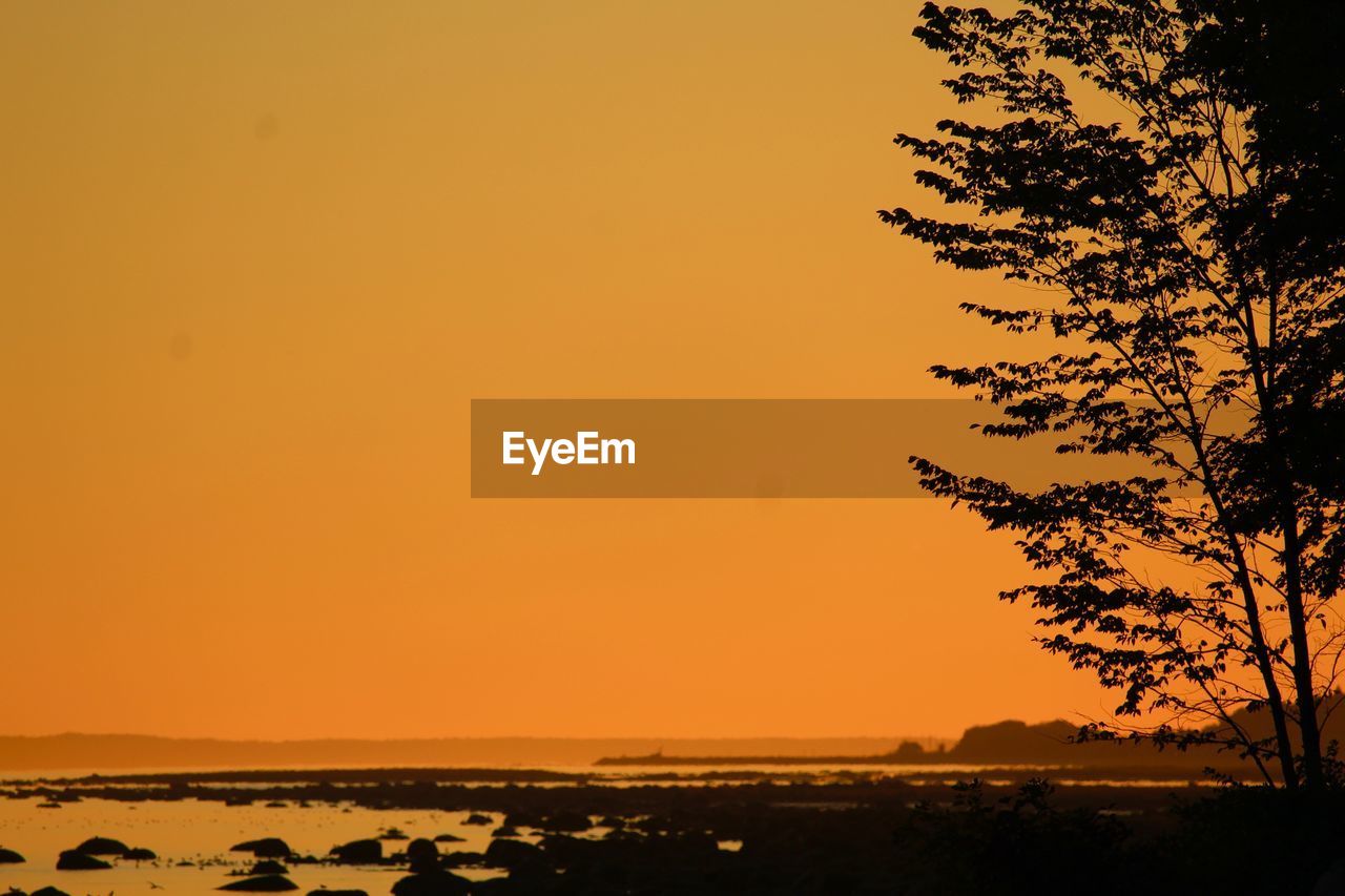 Silhouette tree by calm sea against orange sky