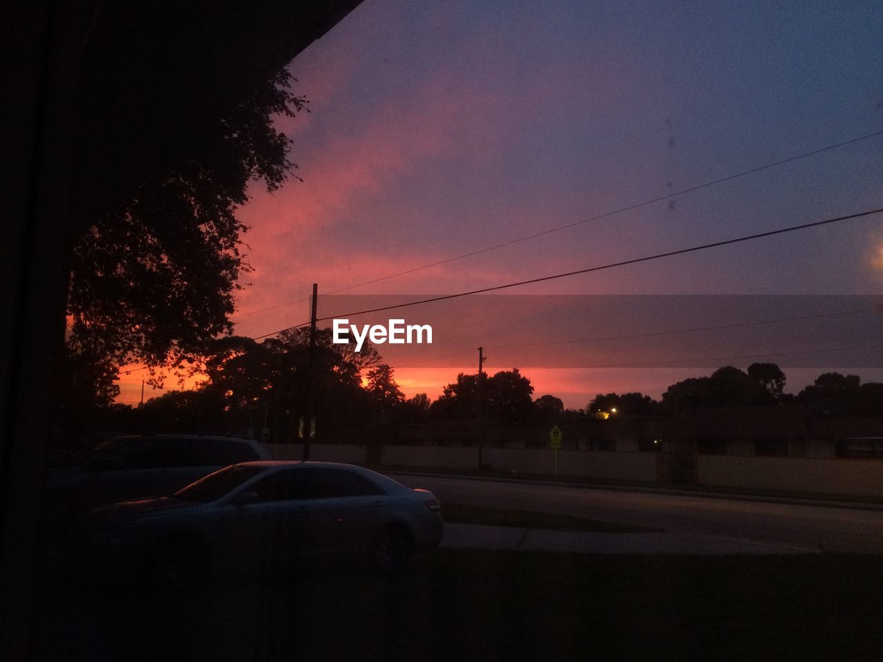 SILHOUETTE OF TREES AT SUNSET