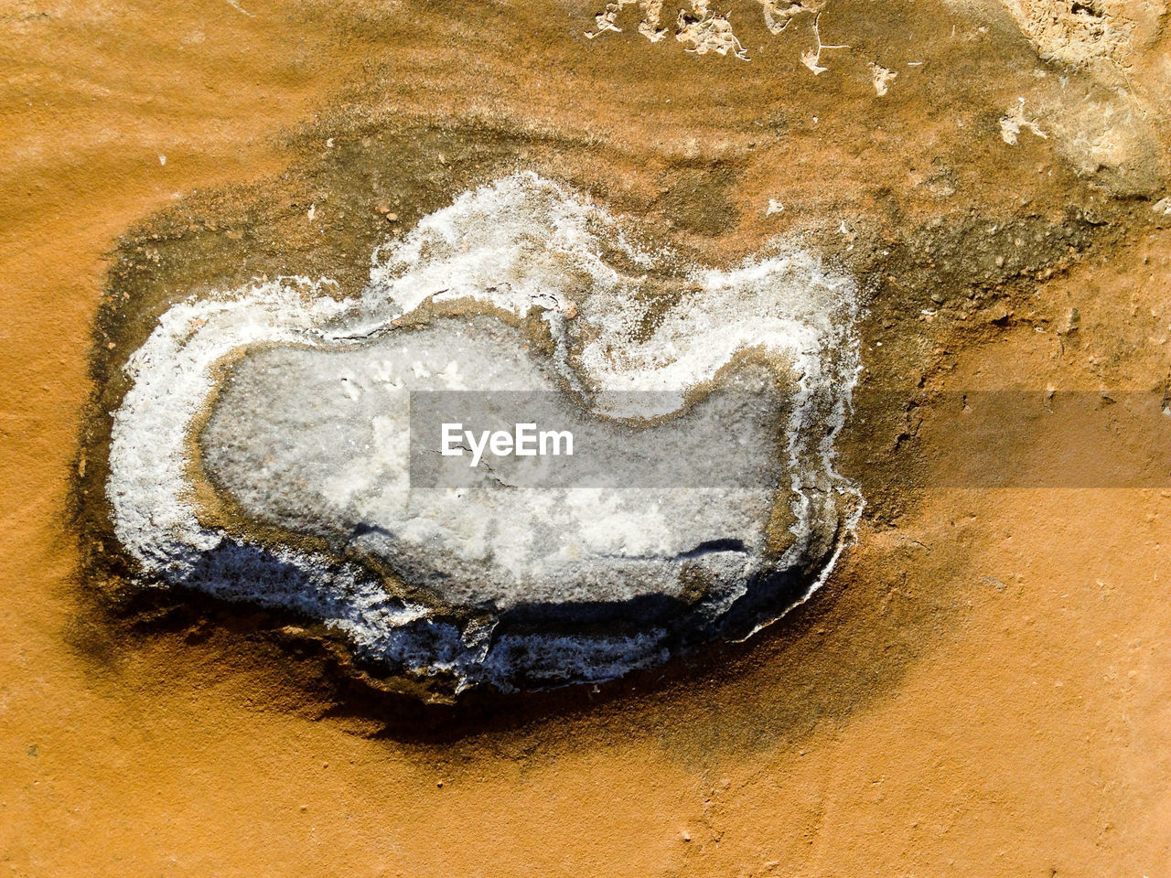 Detailed shot of rock formation